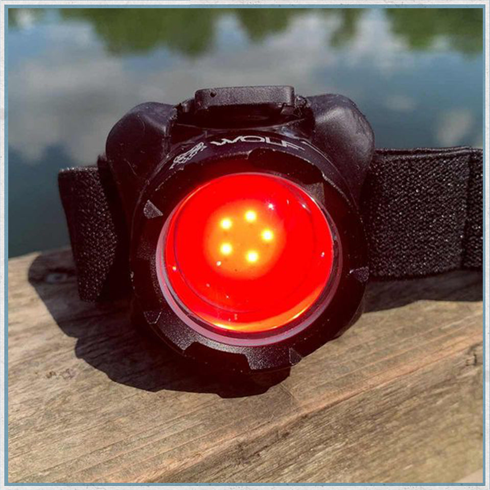 Wolf Outdoors VEX-150 Powerbeam LED Head Torch Rechargeable-Camper Interiors