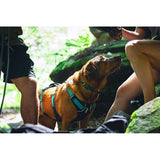 Ruffwear Flagline™ Dog Harness with Handle in Basalt Grey-Camper Interiors