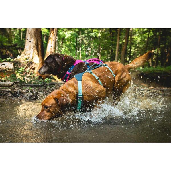 Ruffwear Flagline™ Dog Harness with Handle in Basalt Grey-Camper Interiors