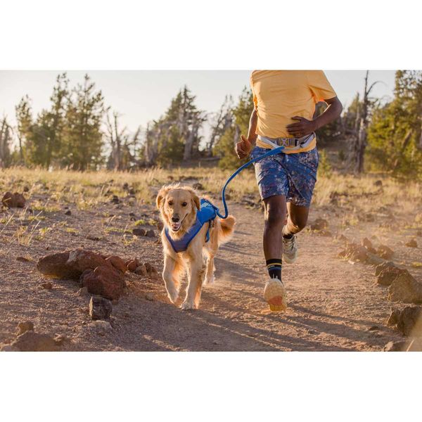 Ruffwear Trail Runner™ Belt in Blue Pool-Camper Interiors