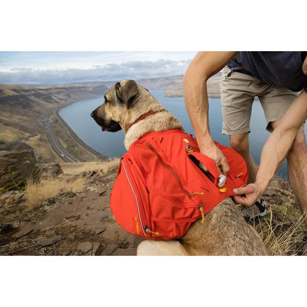 Ruffwear Palisades™ Dog Backpack in Red Sumac-Camper Interiors