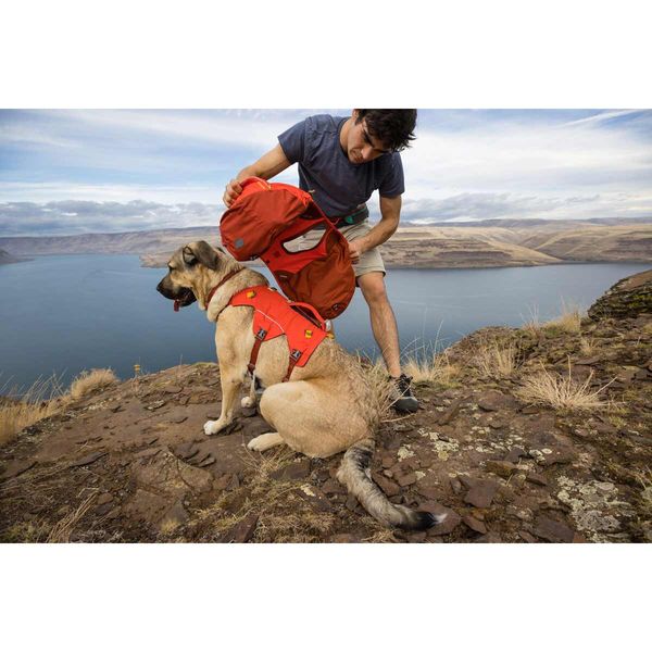 Ruffwear Palisades™ Dog Backpack in Red Sumac-Camper Interiors