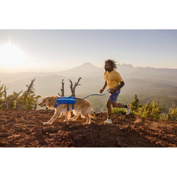 Hiking Trails Dog Breeds Good For Hiking Running Trails Dog