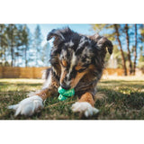 Ruffwear Toadstool™ Dog Toy in Moss Green-Camper Interiors