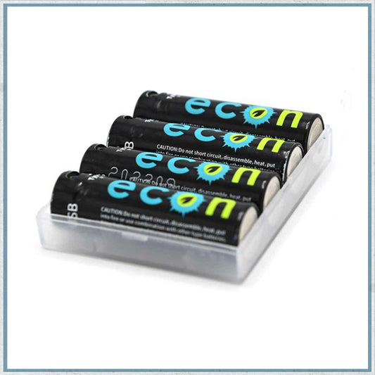 Wolf Outdoors 1800mwh USB-C Rechargeable AA Batteries with Case-Camper Interiors